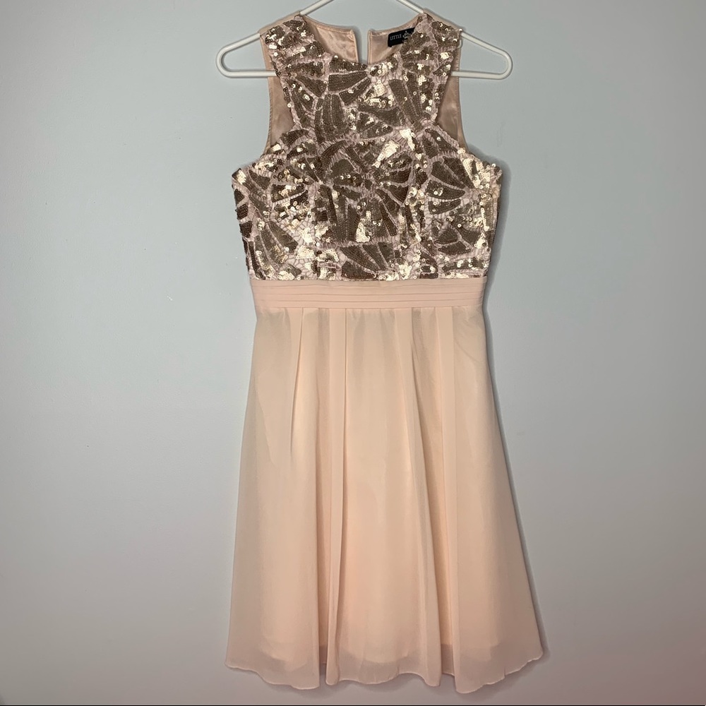 Blush Sequins Little Mistress Dress (Small Stains)